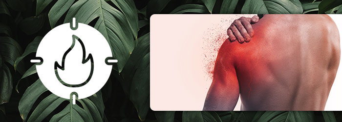 cbd anti inflammatoire